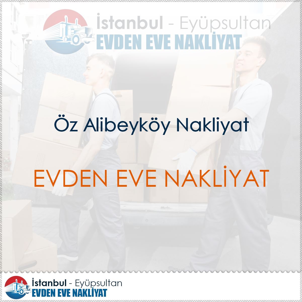 Öz Alibeyköy Nakliyat logo